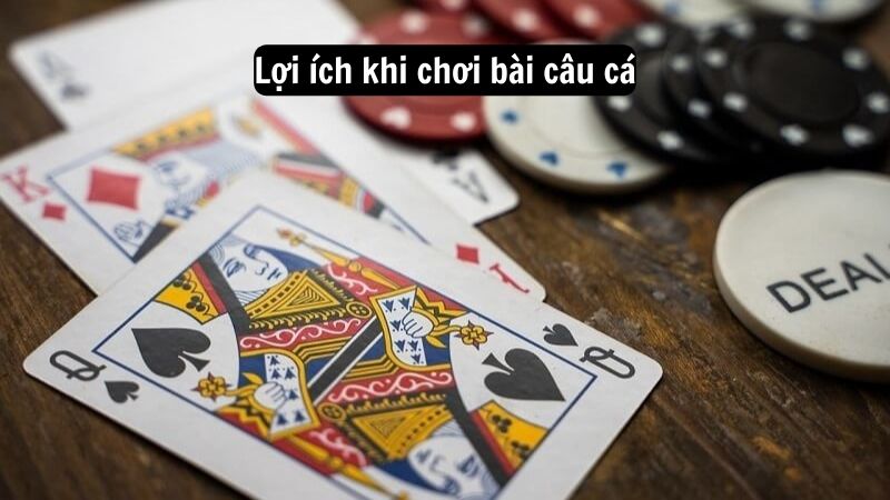 Lợi ích khi chơi bài câu cá