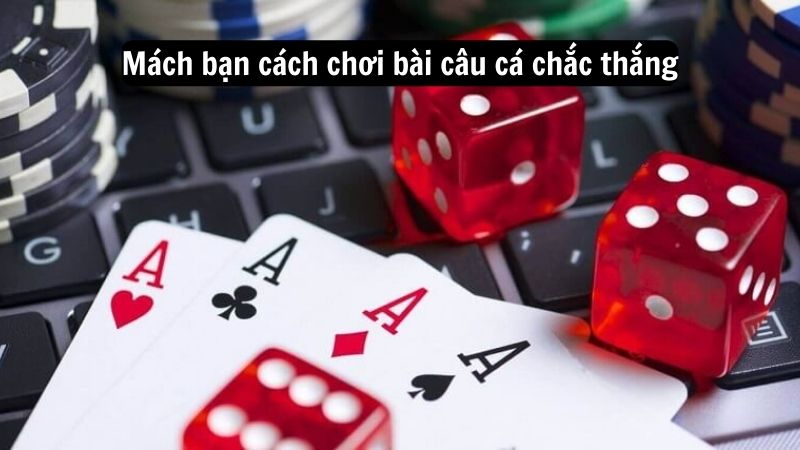 Mách bạn cách chơi bài câu cá chắc thắng