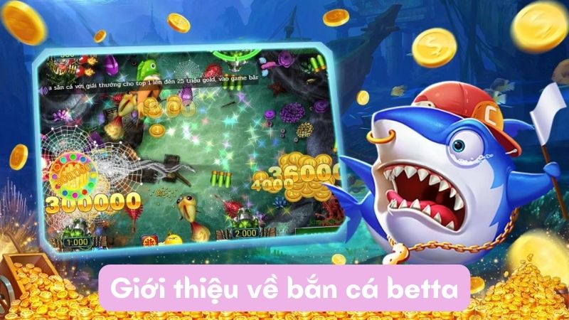 Giới thiệu về bắn cá betta