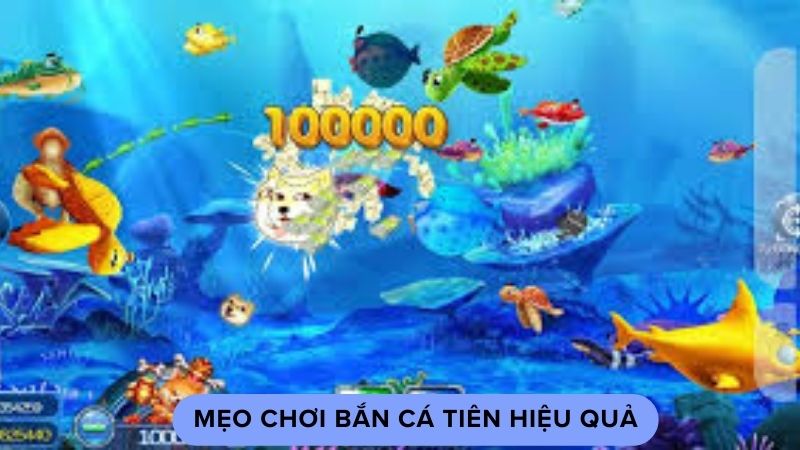 Mẹo chơi bắn cá tiên hiệu quả