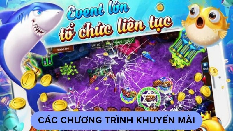 Các chương trình khuyến mãi