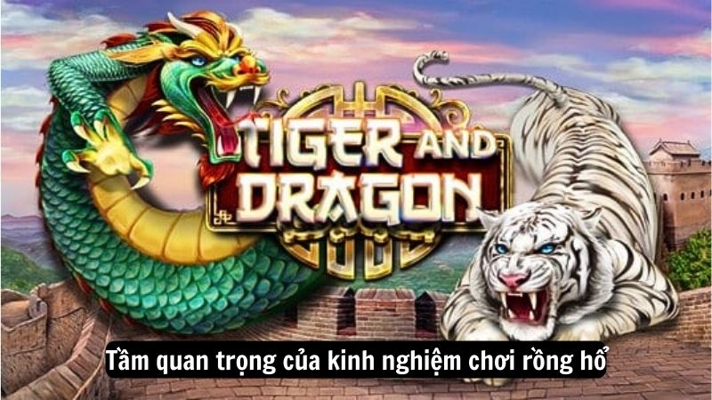 Tầm quan trọng của kinh nghiệm chơi rồng hổ