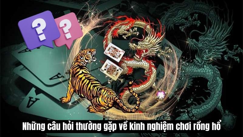 Những câu hỏi thường gặp về kinh nghiệm chơi rồng hổ