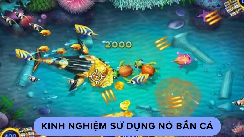 Kinh nghiệm sử dụng nỏ bắn cá